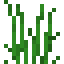 背の高い草